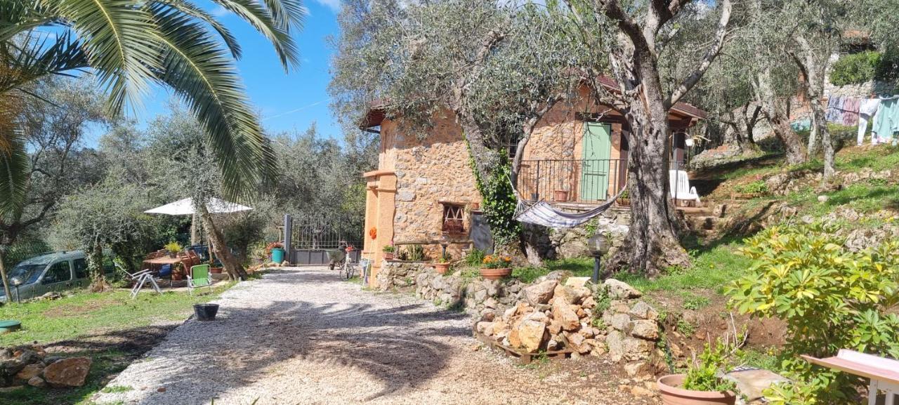 La Merla Del Tasso Camaiore Exterior photo